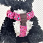 [公式]パラコード#170-3マクラメ編み ハーネス　No200-3