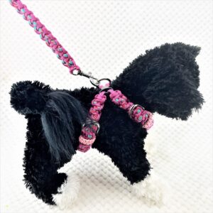 [公式]パラコード#170-4マクラメ編み ハーネス＆リードセットNo200-4犬装着時の画像