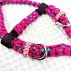 [公式]パラコード#170-4マクラメ編み ハーネス＆リードセットNo200-4真上からの画像