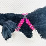 [公式]パラコード#170-3マクラメ編み ハーネス　No200-3