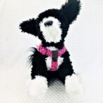 [公式]パラコード#170-3マクラメ編み ハーネス　No200-3