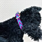 [公式]パラコードマクラメ編み＃172 ローズ・オーキッドブルー・紫・茶の小型犬用首輪No201