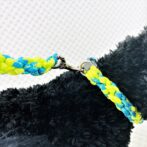 [公式]パラコードNo206マクラメ編みライトグリーンとブルーの小型犬首輪＆リードセット#120