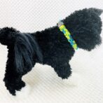 [公式]パラコードNo206マクラメ編みライトグリーンとブルーの小型犬首輪#120