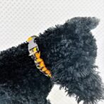 [公式]パラコードマクラメ編みオレンジと茶まだらの猫と犬首輪No208