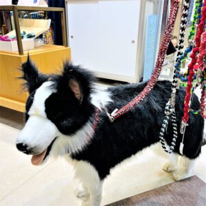 東武百貨店　池袋店出店中