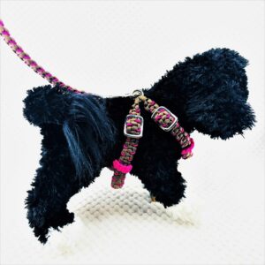 [公式]パラコードNo210マクラメ編み ハーネス&リードセット(#10)