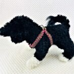 [公式]パラコードNo210マクラメ編み ハーネス(#10)