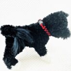 [公式]パラコードマクラメ編み赤と黒の猫と犬首輪No207