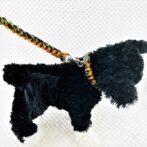 [公式]パラコードNo208マクラメ編みオレンジと茶まだらの犬首輪&リードセット