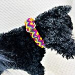 [公式]パラコード＃132マクラメ編み まだらピンク・イエロー・紫・グレー・茶の小型犬・中型犬首輪No162