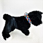 公式]パラコード＃146マクラメ編みピンク・ブルー・紫・黃まだらの小型犬用首輪No176