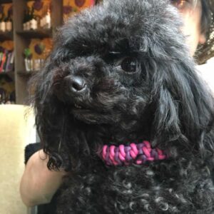 マクラメ編みとはどんな物？