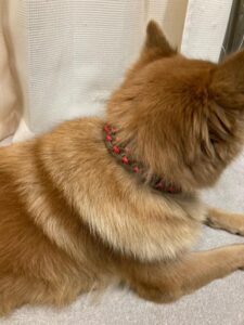 マクラメ編みとはどんな物？