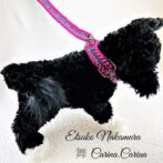 「公式」パラコードNo23マクラメ編み中、小型犬リード&首輪セット