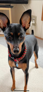 マクラメ編みとはどんな物？