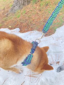 [夏冬兼用犬首輪]着脱ワンタッチ・飼い主様からのご要望を実現