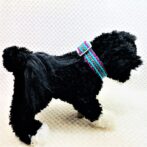 [公式]＃180マクラメ編み3色小型犬・中型犬首輪
