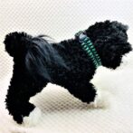 [公式]マクラメ編みのサメの歯編みサイズフリー首輪&リードセット