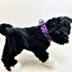 [公式]マクラメ編み＃181ダブルハート編み小型犬首輪