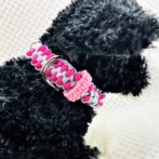 [公式]＃34マクラメ編みサイズ調節可能ワンタッチ首輪小型犬用-2