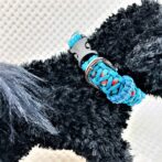 [公式]マクラメ編み＃170サイズ調節可能ワンタッチ着脱　中型犬用リードセット