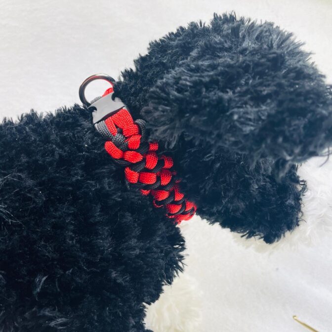 [公式]＃188 赤と黒のポチポチ模様の小型犬首輪