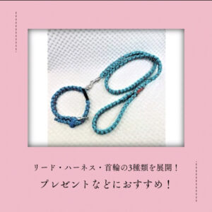 [首輪]犬猫達の皮膚に優しい首輪？それって何？