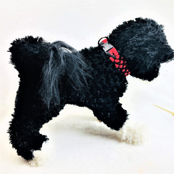 [公式]＃188 赤と黒のポチポチ模様の小型犬首輪