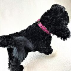 [首輪の巾]小型犬の飼い主さんは細い物を選びがち