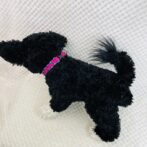 [公式]パラコードでマクラメ編み#205 超小型犬向き3色首輪