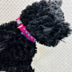 [公式]パラコードでマクラメ編み#205 超小型犬向き3色首輪