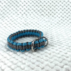 [zoomオンラインサロン]首輪無料講習会飛び入り参加OK　明日6日午前10時から