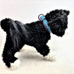 [キット]マクラメ編み#197 3色3列クロス編み小型犬用首輪