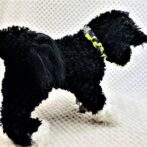 [パラコードでマクラメ編み]＃201 ウィンドテンプルバー小型犬首輪作り方