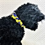 [パラコードでマクラメ編み]＃201 ウィンドテンプルバー小型犬首輪作り方