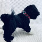 [パラコードでマクラメ編み]＃202 3色使いの小型犬首輪作り方