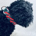 [パラコードでマクラメ編み]＃202 3色使いの小型犬首輪作り方