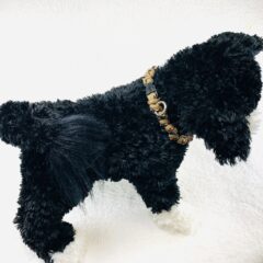 [お知らせ]zoomで無料講習会 マクラメ編みいぬねこ首輪クラフト教室