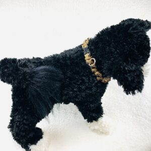 [お知らせ]zoomでマクラメ編みいぬねこ首輪クラフト教室