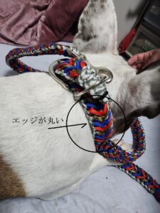 安心安全な首輪