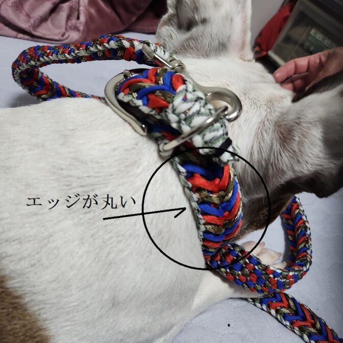 安心安全な首輪