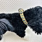 [公式]パラコードでマクラメ編み#206 エレガンティックな首輪　