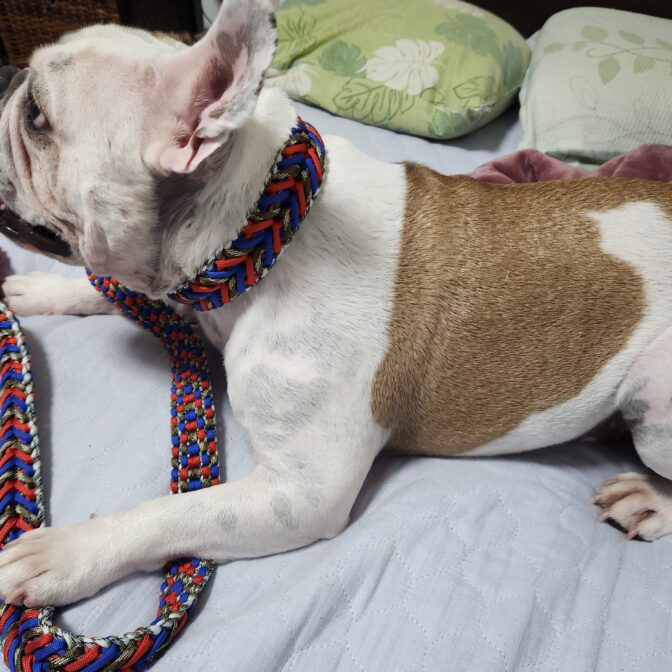 マクラメ編み首輪とリードセット