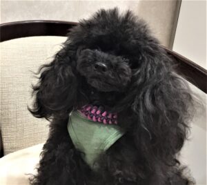 IMG_3229 | エツコナカムラ・アクセサリーブランド|舞ジュエリー