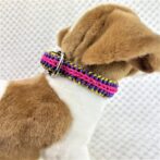 [公式]マクラメ編み#214エンドレスフォールズ小型犬用首輪