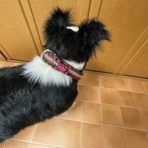 [公式]パラコードでマクラメ編み＃215ハッピーバレンタイン中型犬・大型犬首輪作り方