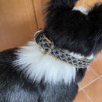 [公式]＃217ルナのミニフライトラップ　中型・大型犬首輪