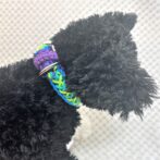 [公式]パラコードでマクラメ編み#212 プロスティモヒート小型犬用首輪