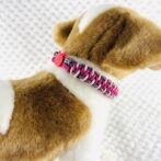 [公式]パラコードでマクラメ編み#222平結びアレンジ　猫・超小型犬首輪